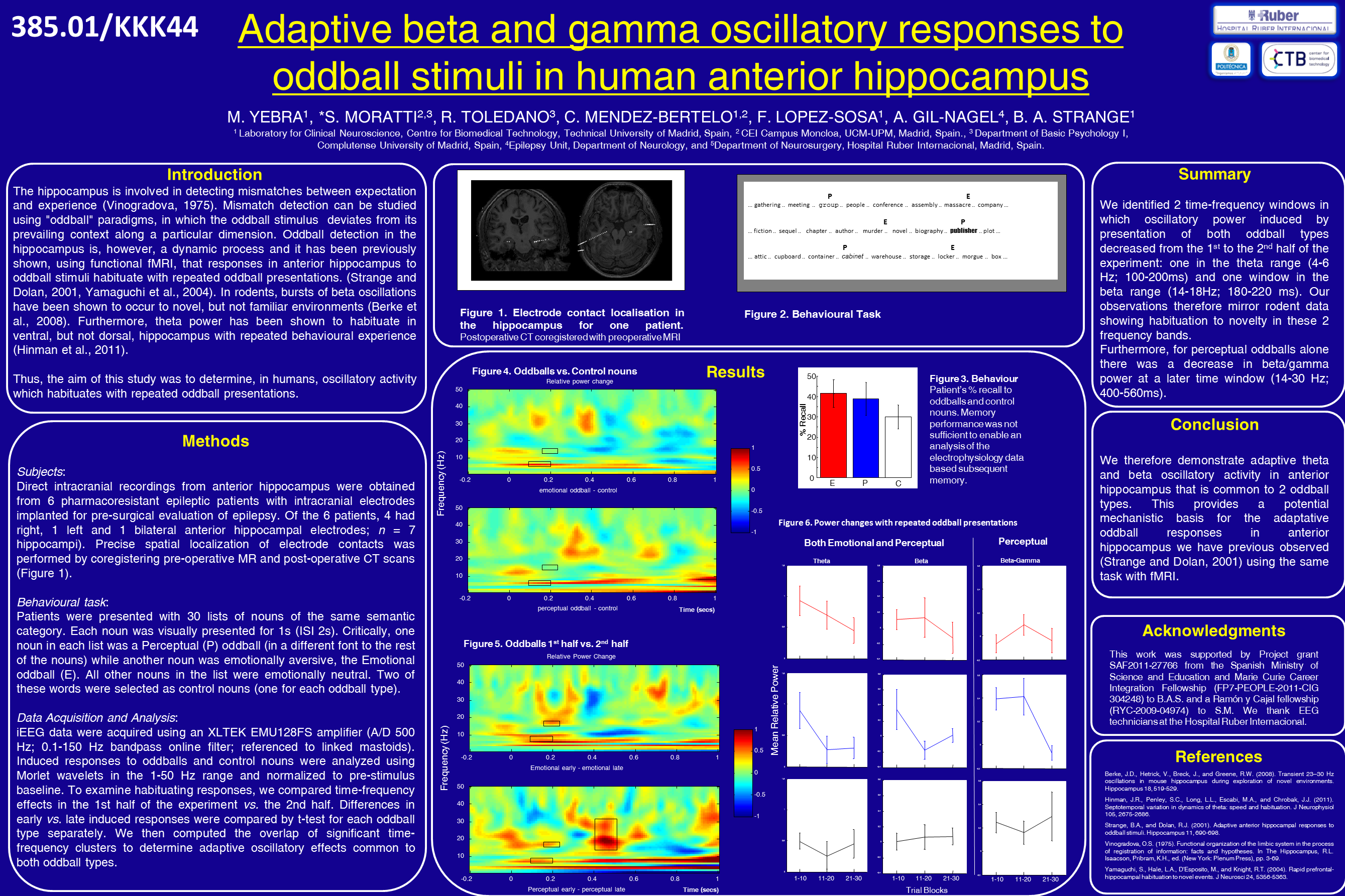 Adaptive beta and gamma oscillatory responses to oddball stimuli in human anterior hippocampus