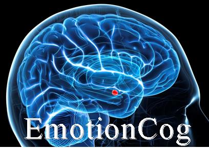 EmotionCog